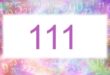 معنی عدد 111