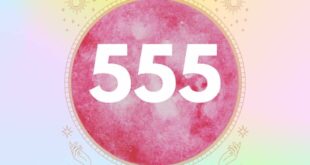 معنی عدد 555
