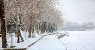 خواب برف در بهار