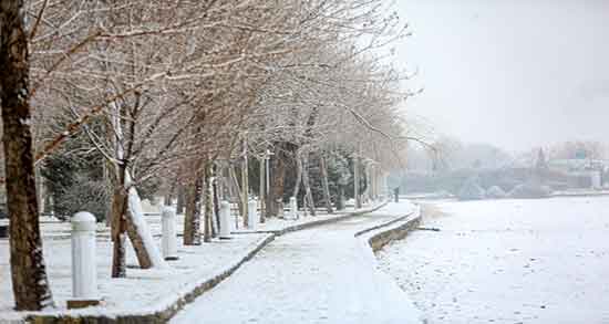 خواب برف در بهار